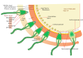 Thumbnail for version as of 19:16, 19 February 2026