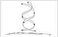Thumbnail for version as of 02:41, 25 January 2011