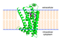Thumbnail for version as of 17:01, 10 October 2012