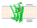Thumbnail for version as of 17:04, 10 October 2012