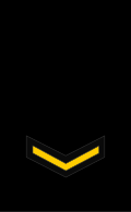 Thumbnail for version as of 16:19, 15 January 2011