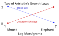 Thumbnail for version as of 14:41, 24 March 2018