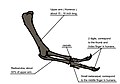 Thumbnail for version as of 13:01, 12 July 2009