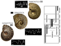 Thumbnail for version as of 21:44, 3 March 2009