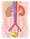 Thumbnail for version as of 18:46, 7 January 2010