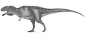 Thumbnail for version as of 21:33, 10 March 2025