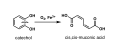 Thumbnail for version as of 16:41, 5 February 2021