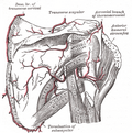 Thumbnail for version as of 06:49, 30 January 2006