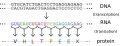 Thumbnail for version as of 01:38, 27 May 2007
