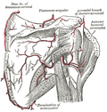 Thumbnail for version as of 21:05, 28 January 2006