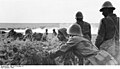 Thumbnail for version as of 11:09, 9 December 2008
