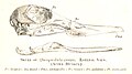 Thumbnail for version as of 08:58, 13 April 2008