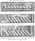 Thumbnail for version as of 17:36, 11 November 2020