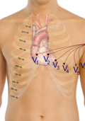 Thumbnail for version as of 20:48, 28 June 2012