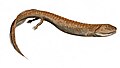 Thumbnail for version as of 06:35, 24 January 2007
