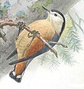 Thumbnail for version as of 08:26, 25 April 2014