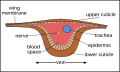 Thumbnail for version as of 13:58, 24 April 2011