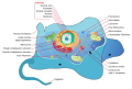 Thumbnail for version as of 18:17, 28 July 2024