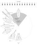 Thumbnail for version as of 22:49, 21 December 2024