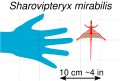 Thumbnail for version as of 00:08, 28 March 2026