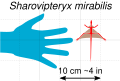 Thumbnail for version as of 00:18, 28 March 2026