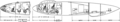 Thumbnail for version as of 00:14, 16 August 2022