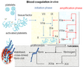 Thumbnail for version as of 14:15, 16 June 2012