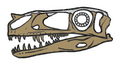 Thumbnail for version as of 07:45, 27 November 2010
