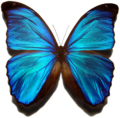 Thumbnail for version as of 07:53, 19 January 2007