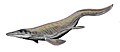 Thumbnail for version as of 05:38, 6 November 2007