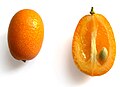 Thumbnail for version as of 08:30, 20 October 2024