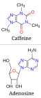 Thumbnail for version as of 13:24, 20 August 2006