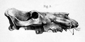 Thumbnail for version as of 20:26, 6 October 2023