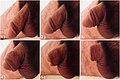 Thumbnail for version as of 13:48, 21 July 2018