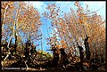 Thumbnail for version as of 16:53, 19 April 2026