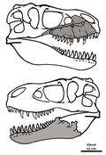 Thumbnail for version as of 15:17, 9 April 2011