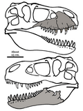 Thumbnail for version as of 06:18, 12 April 2011