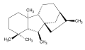 Thumbnail for version as of 21:39, 31 August 2009