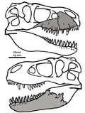 Thumbnail for version as of 17:49, 28 December 2014