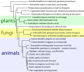 Thumbnail for version as of 04:57, 16 May 2007