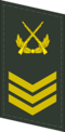 Thumbnail for version as of 07:47, 27 March 2017
