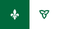 Thumbnail for version as of 08:14, 9 February 2010
