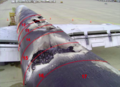 Thumbnail for version as of 19:36, 16 June 2021
