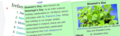 Thumbnail for version as of 09:42, 18 March 2019