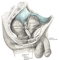Thumbnail for version as of 05:17, 11 February 2006