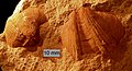Thumbnail for version as of 20:43, 29 September 2012