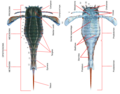 Thumbnail for version as of 13:01, 31 May 2015