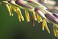 Thumbnail for version as of 16:21, 21 February 2010