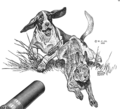 Thumbnail for version as of 06:42, 6 August 2024
