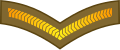 Thumbnail for version as of 09:37, 9 August 2017